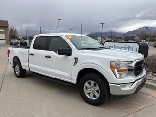 2021  Ford F-150 (1FTFW1E88MFC37111) for sale in Tampa FL