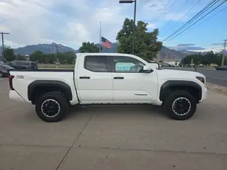 2024  Toyota Tacoma (3TMLB5JN1RM003983) for sale in Tampa FL